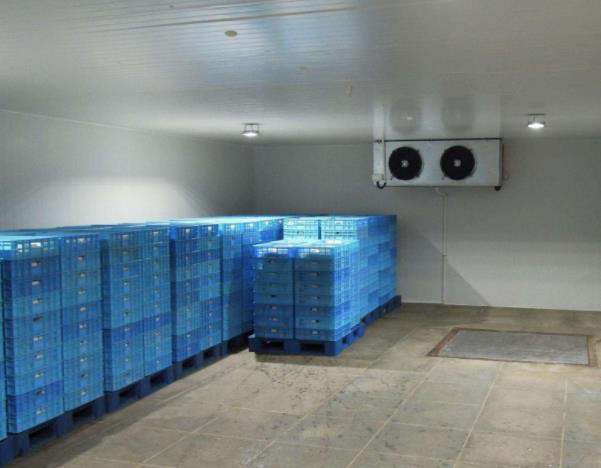 1635399510189359.jpg 1635399510189359.jpg