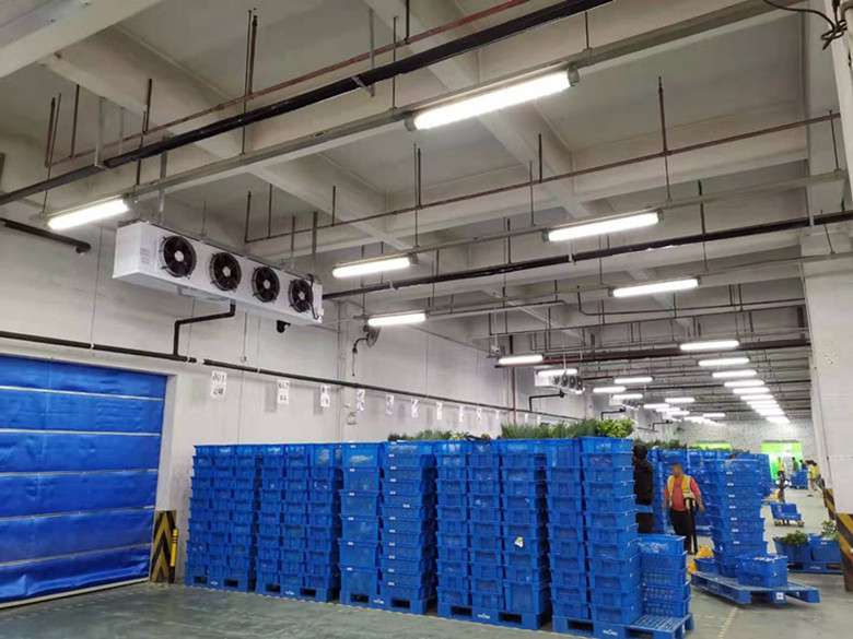 2400平廠房改建成生鮮冷藏庫(kù)應(yīng)該如何來(lái)規(guī)劃設(shè)計(jì)?