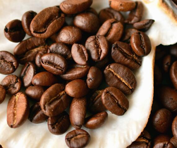 冷藏庫咖啡豆冷藏庫設(shè)計要點