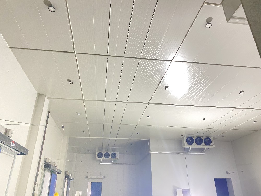 預(yù)冷庫和冷庫的區(qū)別有哪些?_上海開冉制冷