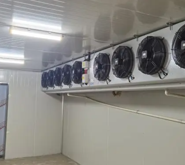 速凍冷庫的優(yōu)點(diǎn)有哪些?_上海開冉制冷