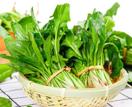 菠菜在冷庫儲(chǔ)存時(shí),需要避免什么因素影響_開冉制冷