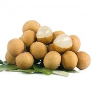 安裝一個桂圓（龍眼）保鮮冷庫，投資成本大概多少