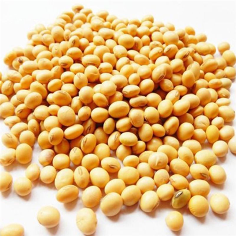 鮮黃豆冷庫(kù)