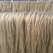 建造一個500噸粉絲冷庫造價多少？