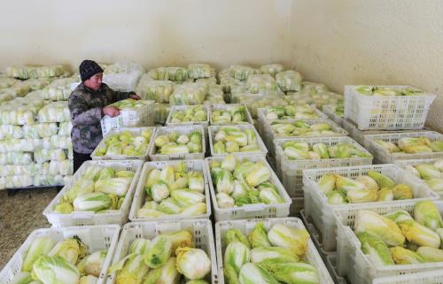 果蔬冷庫設計安裝