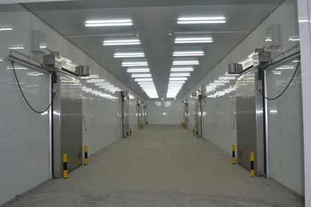 500平方米恒溫冷庫 500平方米恒溫冷庫