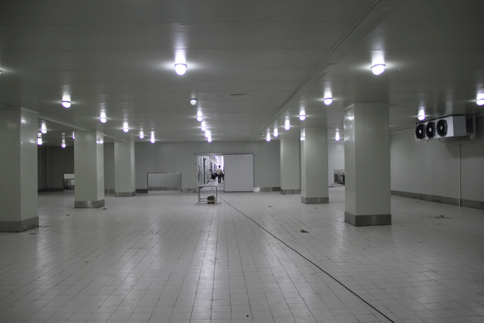 3000平方冷藏冷凍冷庫 3000平方冷藏冷凍冷庫