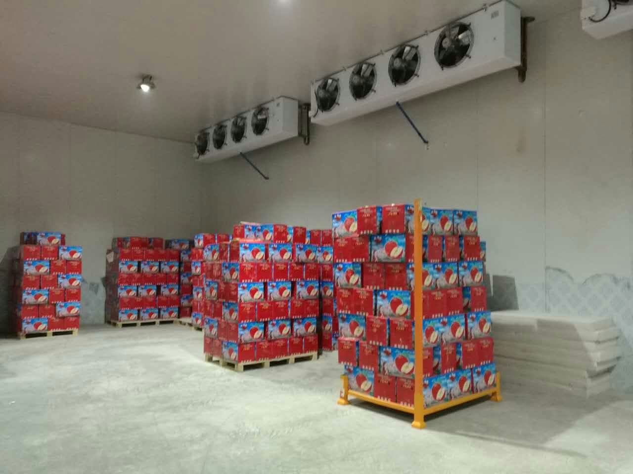 4000平方蘋(píng)果冷庫(kù)