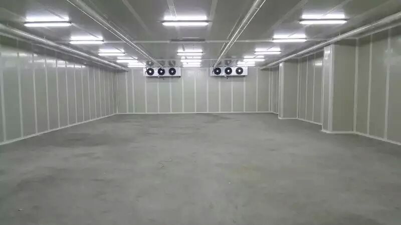 500噸香蕉水果氣調庫 500噸香蕉水果氣調庫