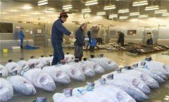 2000噸魚類冷庫安裝需要多少錢？