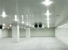 建個一萬平出租型冷庫大概需要投資多少錢？