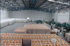 新建一個存放丑橘保鮮冷庫，大概需要多少造價？