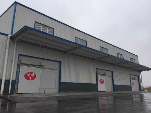 建造10000平米生鮮物流冷庫,低溫倉儲冷庫設計安裝造價 建造10000平米生鮮物流冷庫,低溫倉儲冷庫設計安裝造價