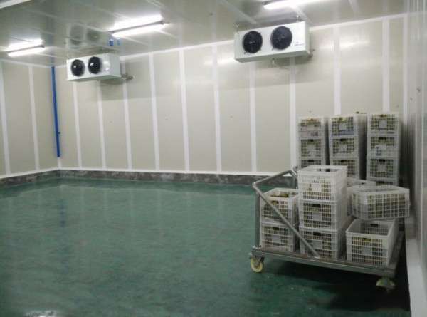 1632815734828054.jpg 1632815734828054.jpg