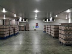 安裝1300噸水果冷藏庫預(yù)算是多少？后期用電能耗大嗎？