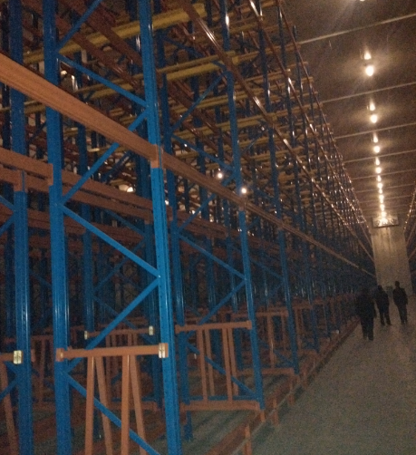 7000平生鮮水果冷庫建設方案，冷庫怎么設計報價？