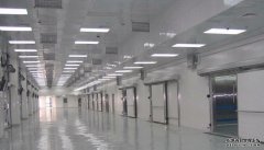 500噸蔬菜保鮮庫需要多大面積總投資造價是多少,設(shè)備日耗電量是