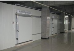 上海建1500平米分類冷庫，1500平米冷庫總投資需要多少錢